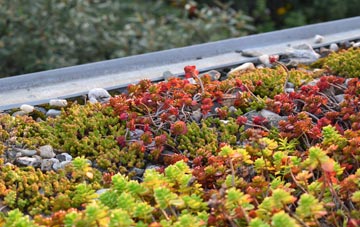 the cost of Wash green roof installation